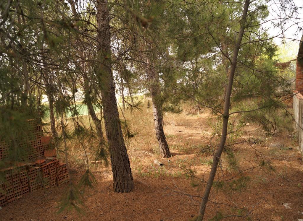 Venta - Proyecto de restauración - Salinas - Rural location