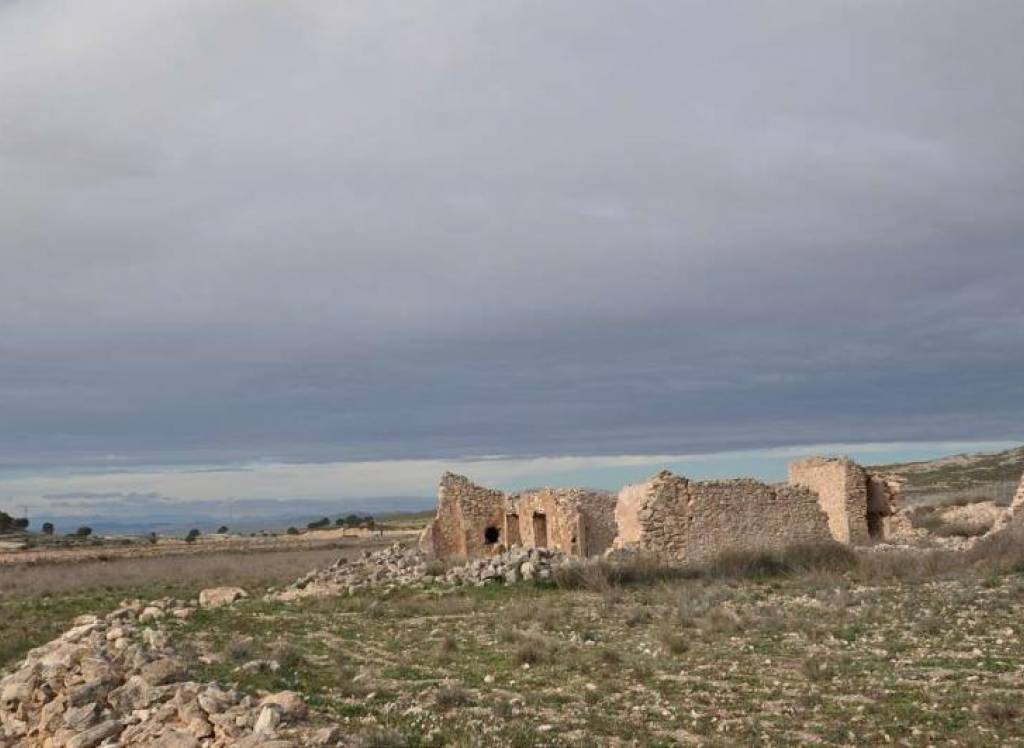 Venta - Proyecto de restauración - Torre Del Rico - Edge of town