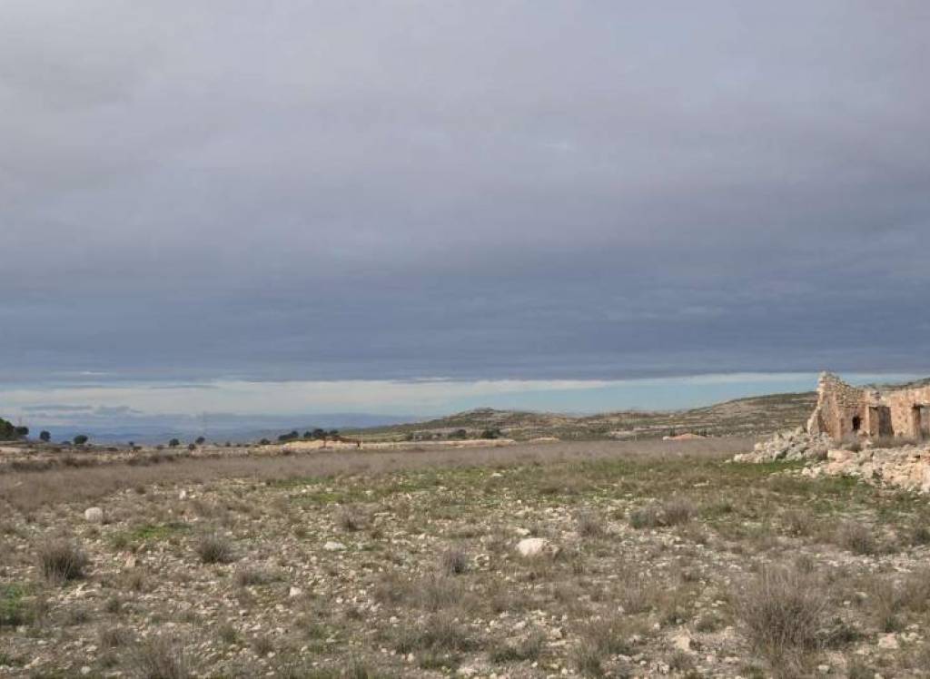 Venta - Proyecto de restauración - Torre Del Rico - Edge of town