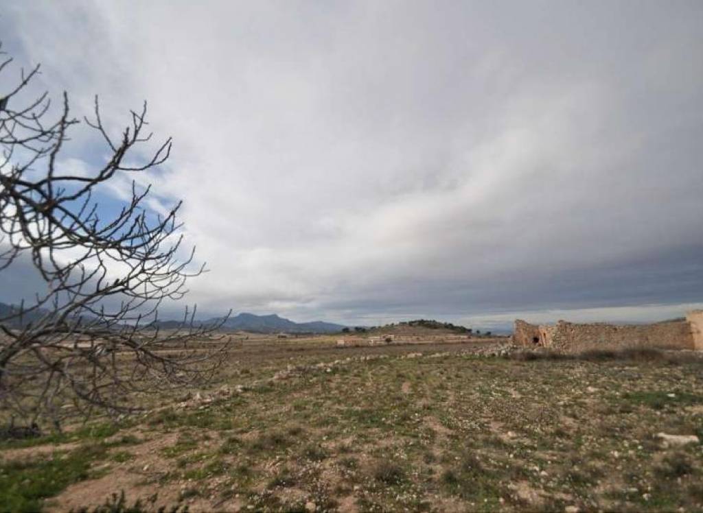 Venta - Proyecto de restauración - Torre Del Rico - Edge of town