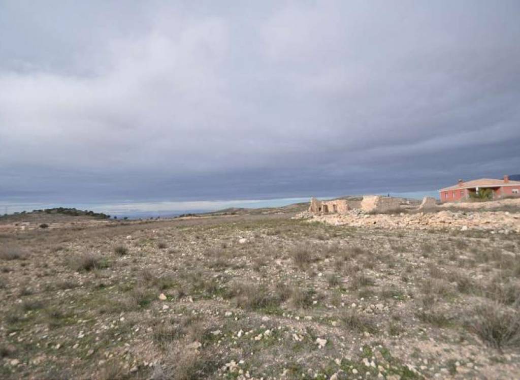 Venta - Proyecto de restauración - Torre Del Rico - Edge of town