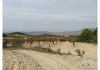 Venta - Terreno - Abanilla - Rural location