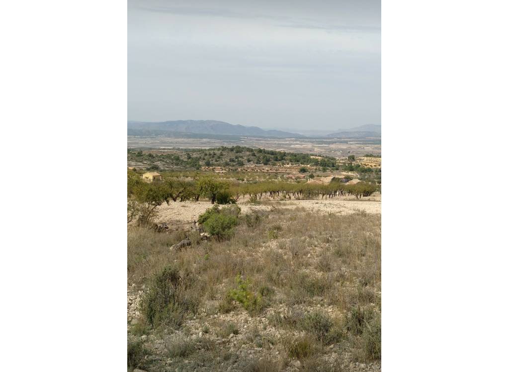 Venta - Terreno - Abanilla - Rural location
