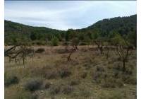 Venta - Terreno - Abanilla - Rural location