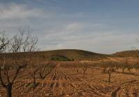 Venta - Terreno - Abanilla - Rural location