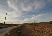 Venta - Terreno - Abanilla - Rural location