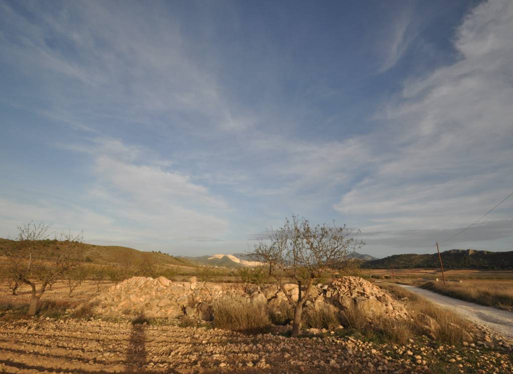 Venta - Terreno - Abanilla - Rural location