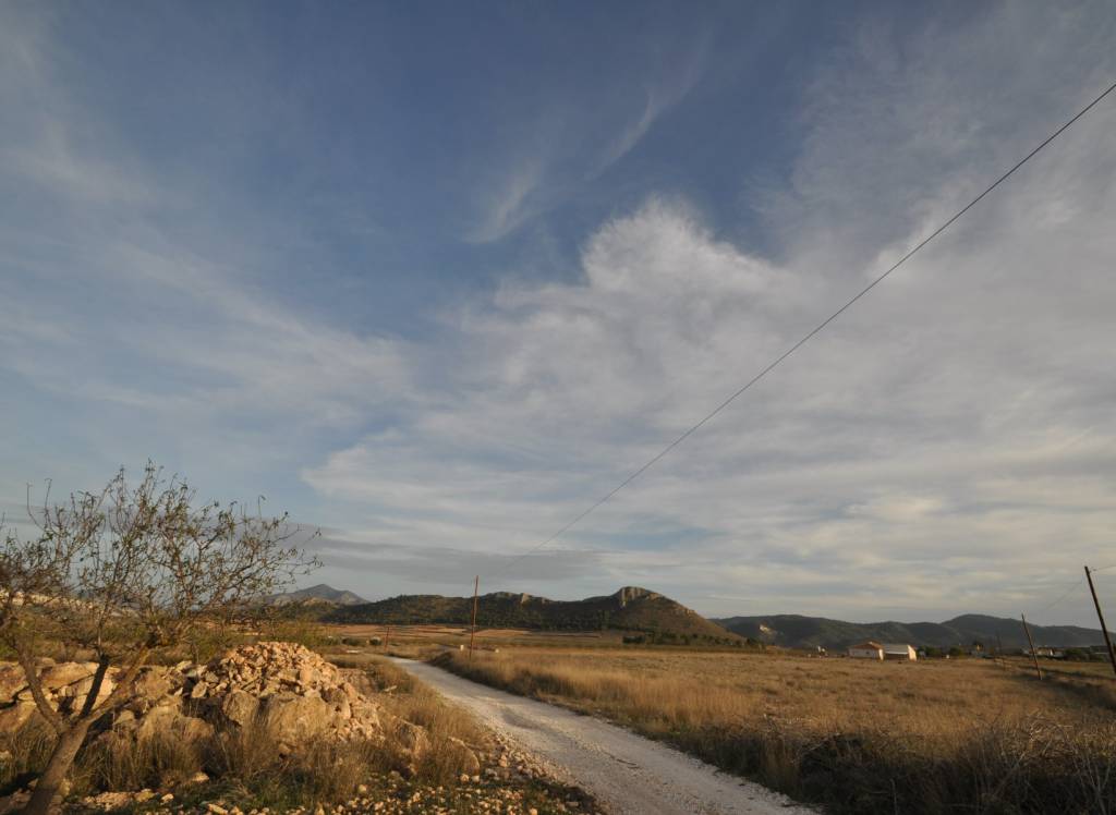 Venta - Terreno - Abanilla - Rural location