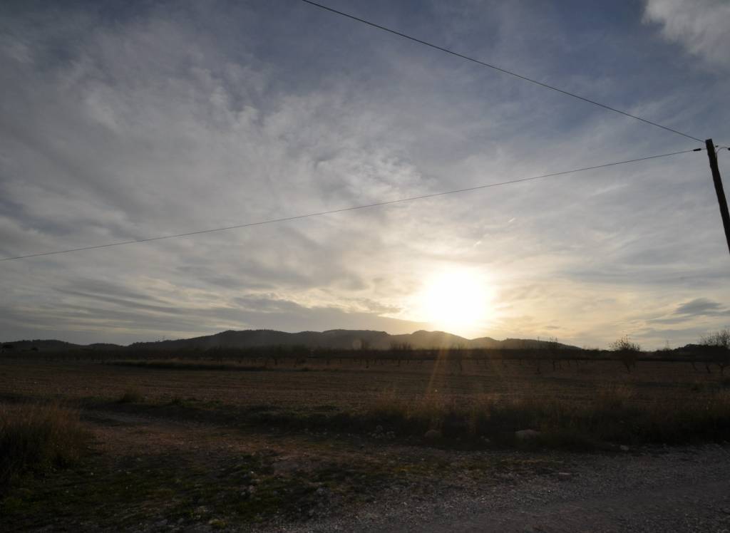 Venta - Terreno - Abanilla - Rural location