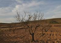 Venta - Terreno - Abanilla - Rural location