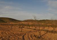 Venta - Terreno - Abanilla - Rural location