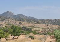 Venta - Terreno - Abanilla - Rural location