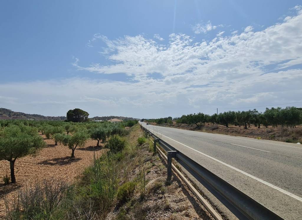 Venta - Terreno - Abanilla - Rural location