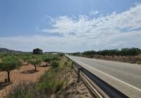 Venta - Terreno - Abanilla - Rural location