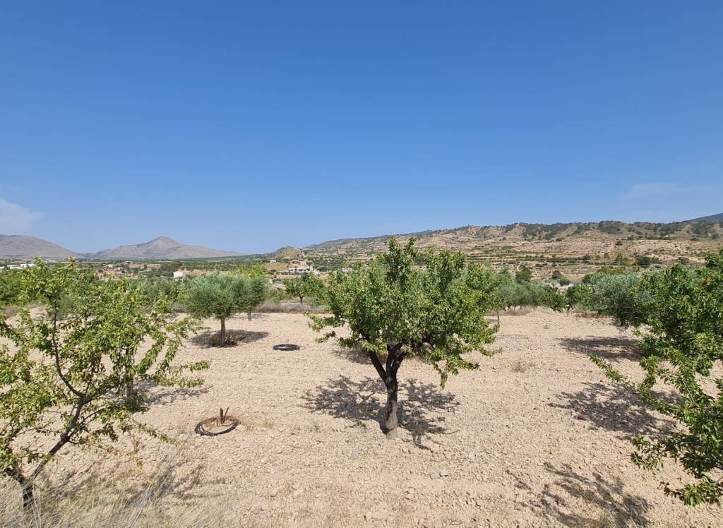 Venta - Terreno - Abanilla - Rural location