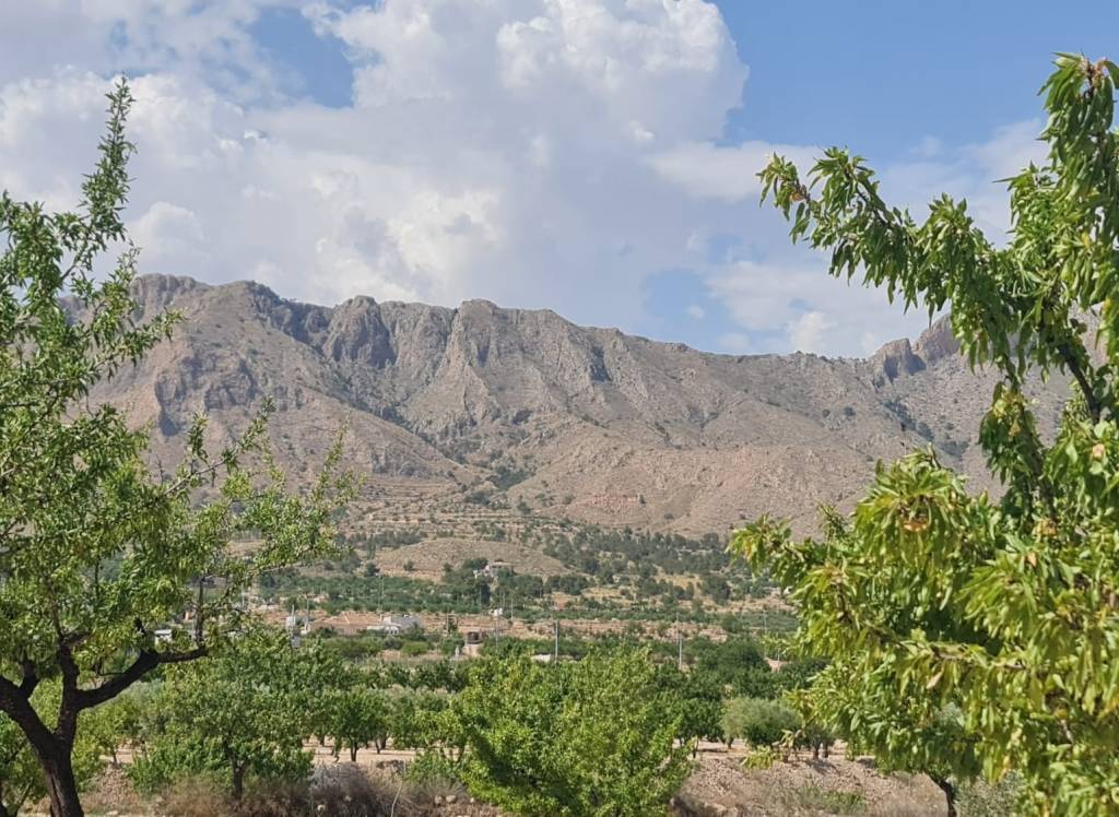 Venta - Terreno - Abanilla - Rural location