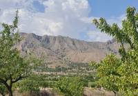 Venta - Terreno - Abanilla - Rural location