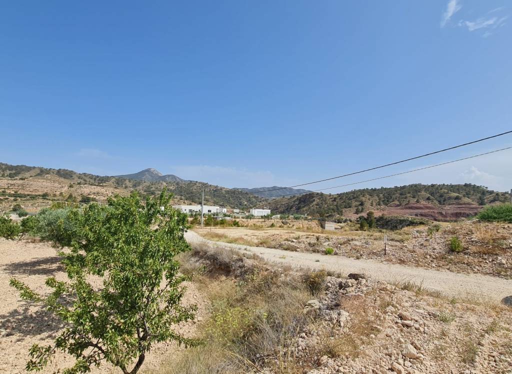 Venta - Terreno - Abanilla - Rural location