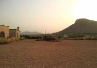 Venta - Terreno - Aspe - Rural location