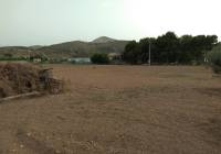 Venta - Terreno - Aspe - Rural location