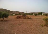 Venta - Terreno - Aspe - Rural location