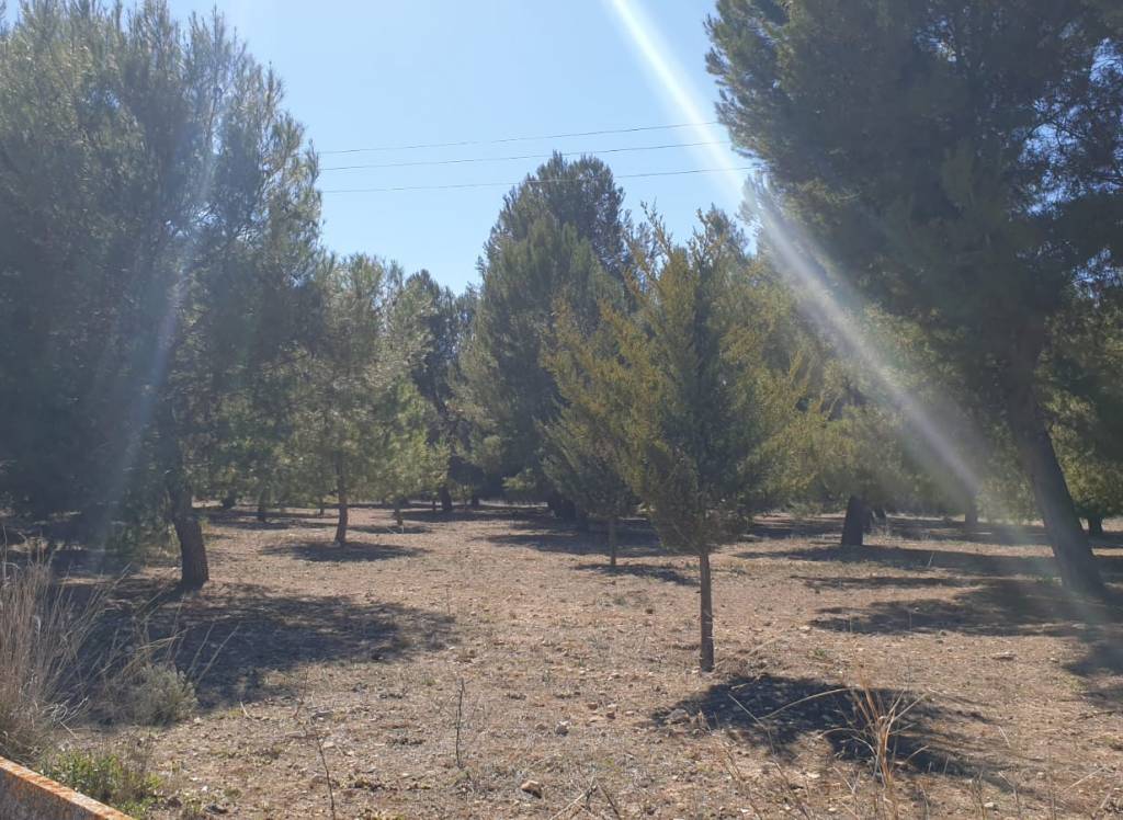 Venta - Terreno - Beneixama - Urban location