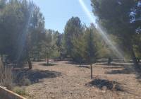 Venta - Terreno - Beneixama - Urban location