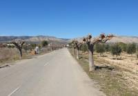 Venta - Terreno - Beneixama - Urban location