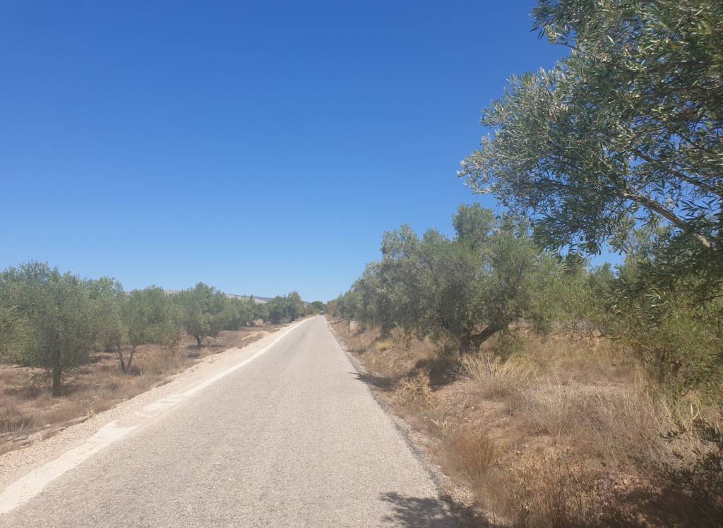 Venta - Terreno - Biar - Rural location