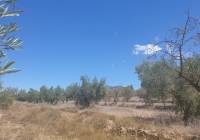 Venta - Terreno - Biar - Rural location