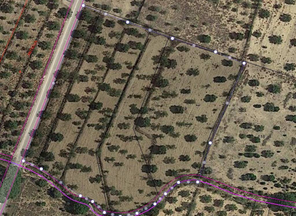 Venta - Terreno - Biar - Rural location