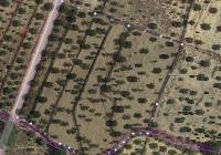 Venta - Terreno - Biar - Rural location