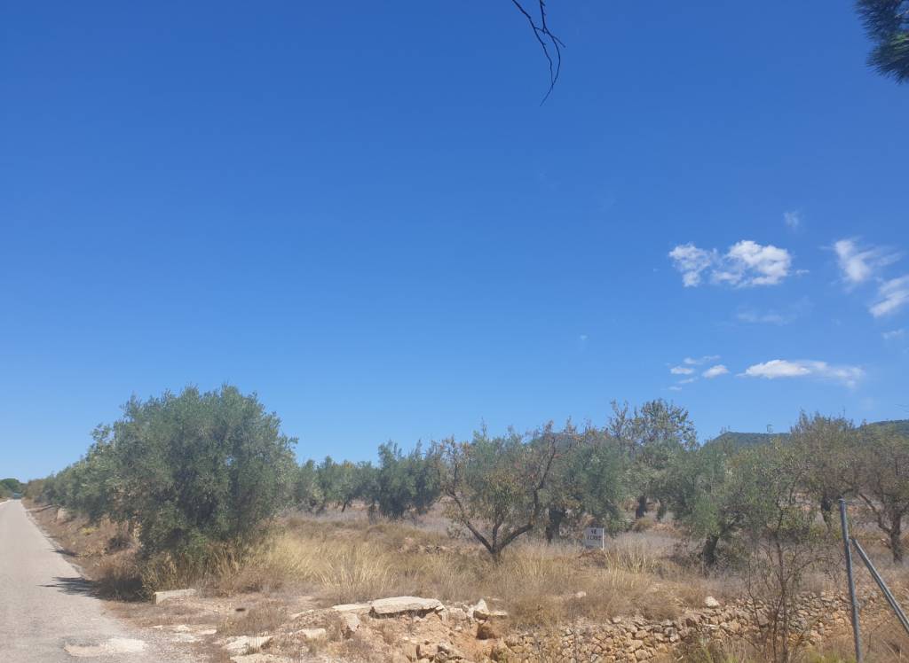 Venta - Terreno - Biar - Rural location