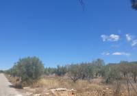 Venta - Terreno - Biar - Rural location