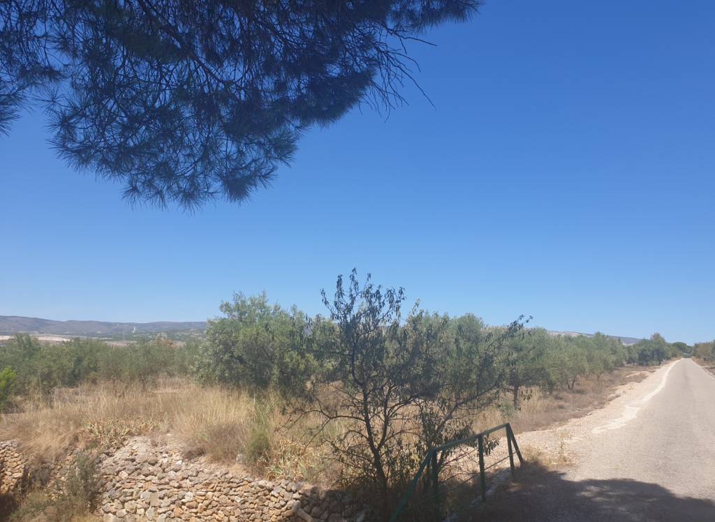 Venta - Terreno - Biar - Rural location