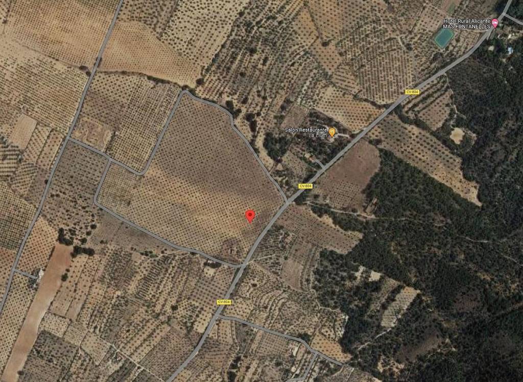 Venta - Terreno - Biar