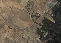 Venta - Terreno - Biar