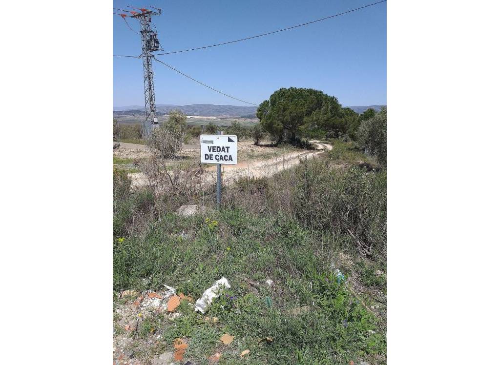 Venta - Terreno - Biar