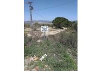 Venta - Terreno - Biar