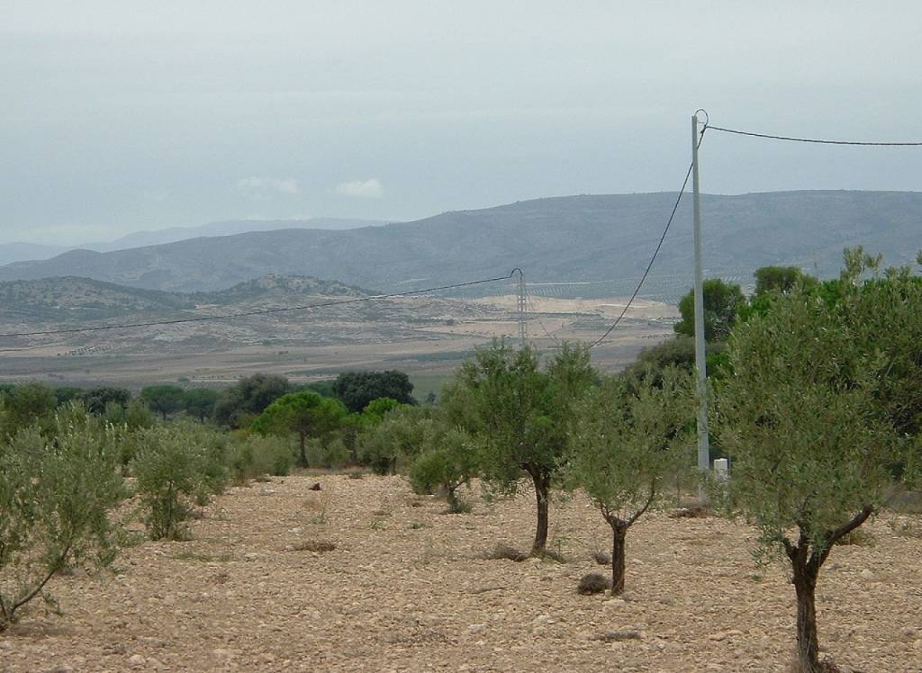 Venta - Terreno - Biar