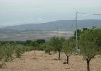 Venta - Terreno - Biar