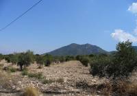 Venta - Terreno - Biar