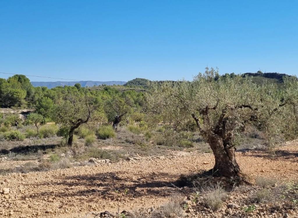 Venta - Terreno - Casas del Señor - Inland