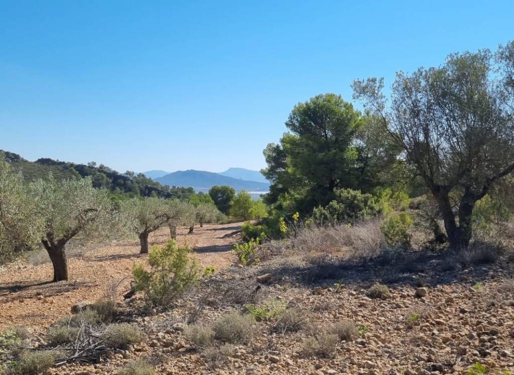 Venta - Terreno - Casas del Señor - Inland