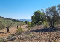 Venta - Terreno - Casas del Señor - Inland