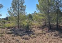 Venta - Terreno - Casas del Señor - Inland