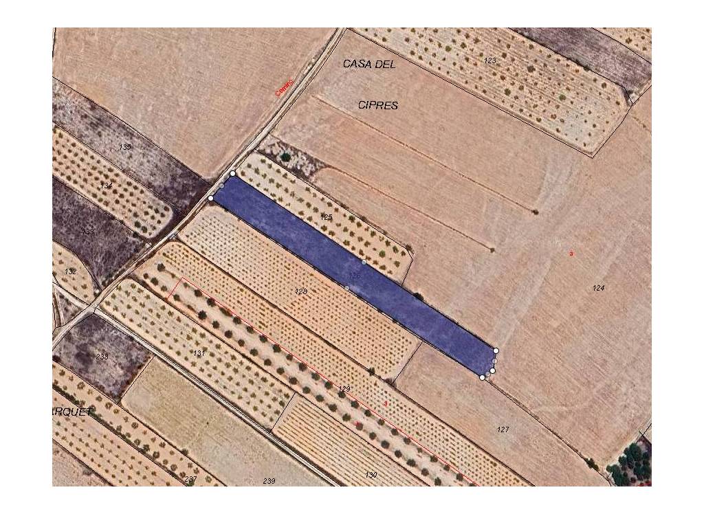 Venta - Terreno - Casas del Señor