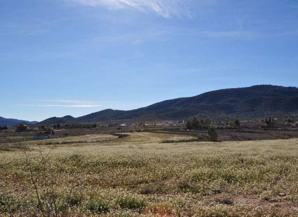 Venta - Terreno - Chinorlet - Rural location