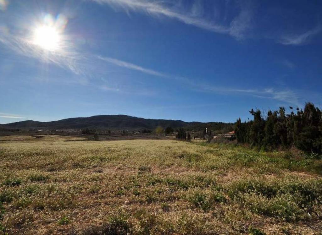 Venta - Terreno - Chinorlet - Rural location