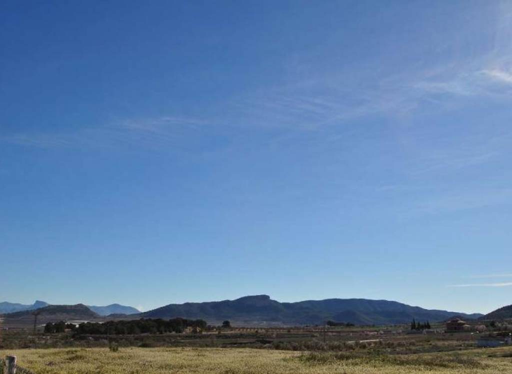 Venta - Terreno - Chinorlet - Rural location